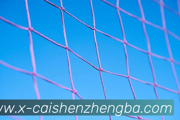 彩神争霸平台生态图